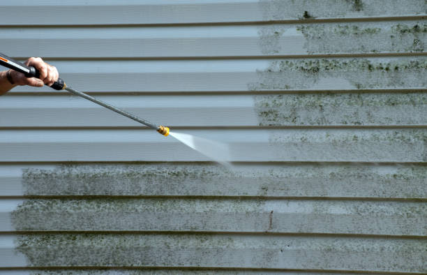 Professional Mold Removal in South Brooksville, FL